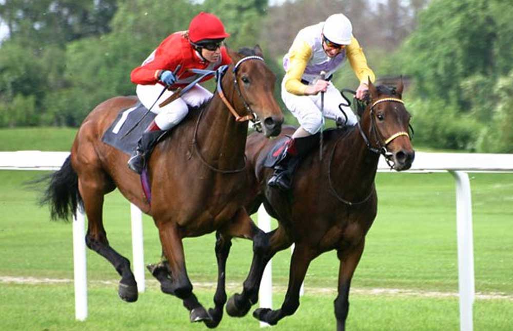 Nuwara Eliya | Hill Country