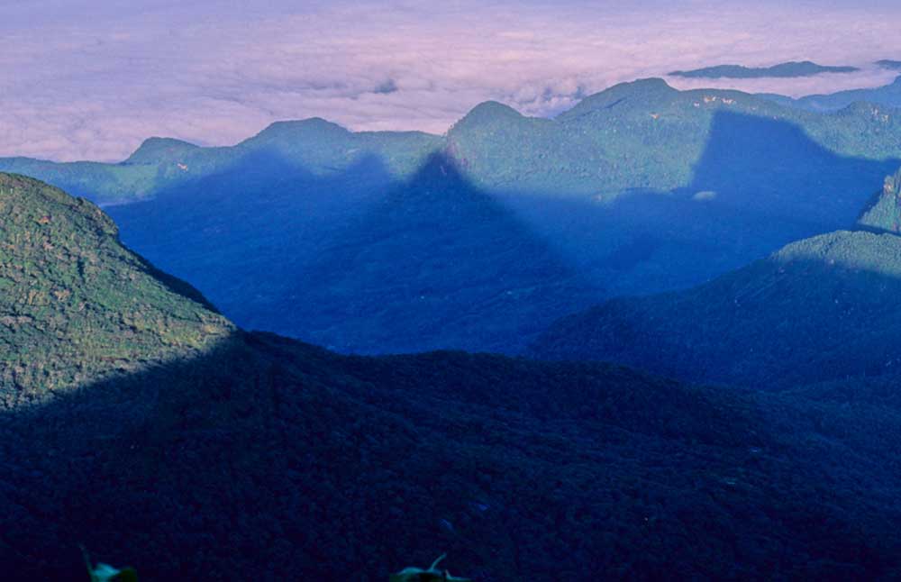 Hatton | Hill Country