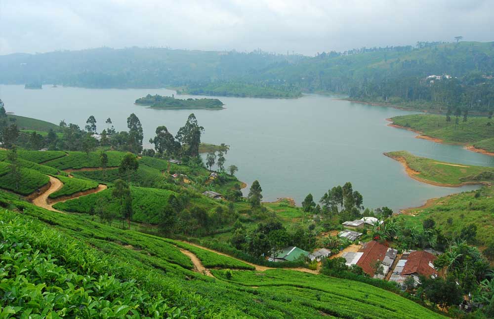 Nuwara Eliya | Hill Country