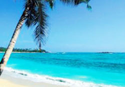 Galle