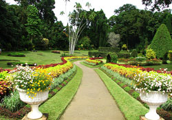 Peradeniya