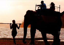 Honeymoon In Sri Lanka
