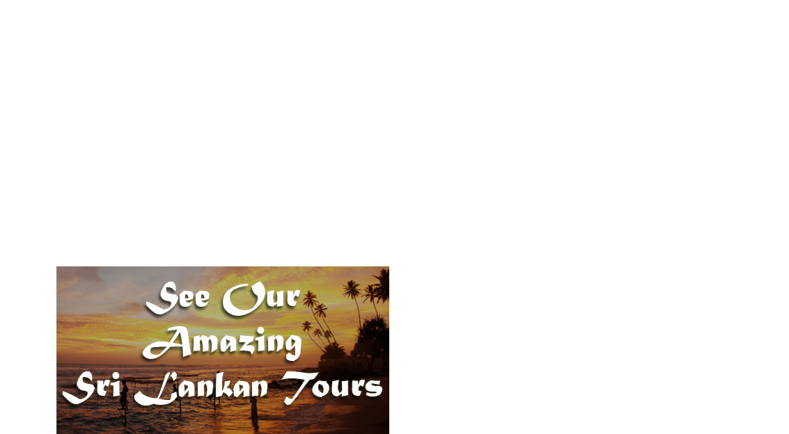 Holidays In Sri Lanka